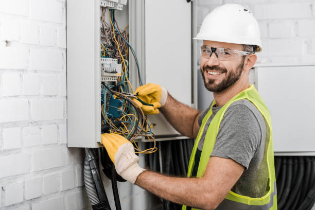 Best Electrical System Inspection  in Ozk, AR
